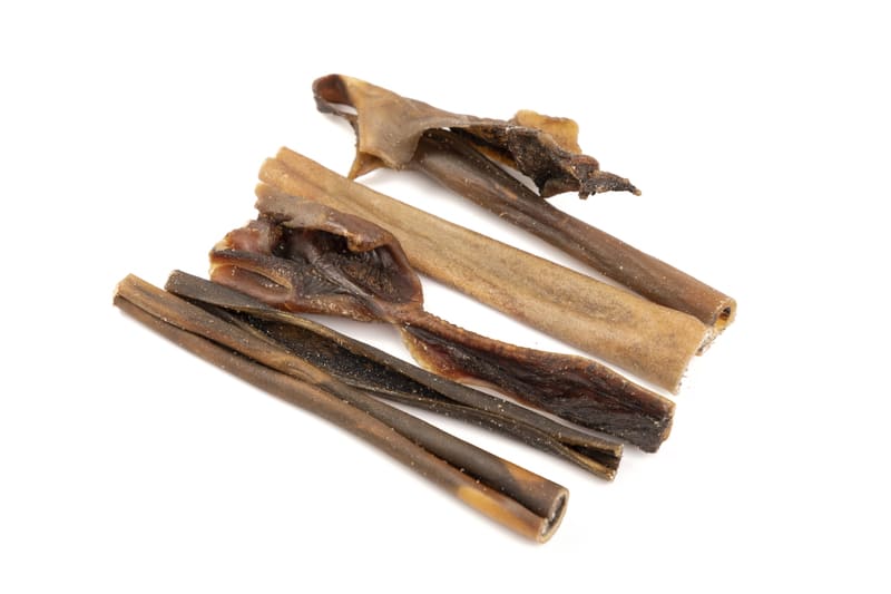 Piel de Camello Natural (100g)