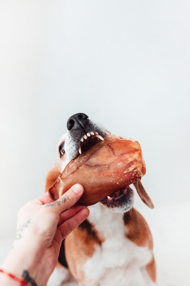 Orejas de Cerdo Naturales (100g)