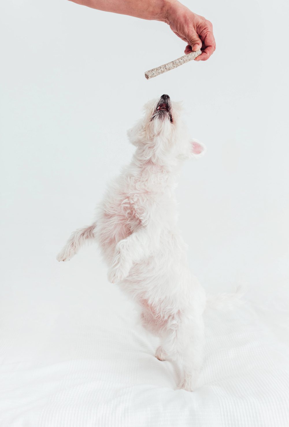 Sticks de Bacalao y Salmón (5uds.)