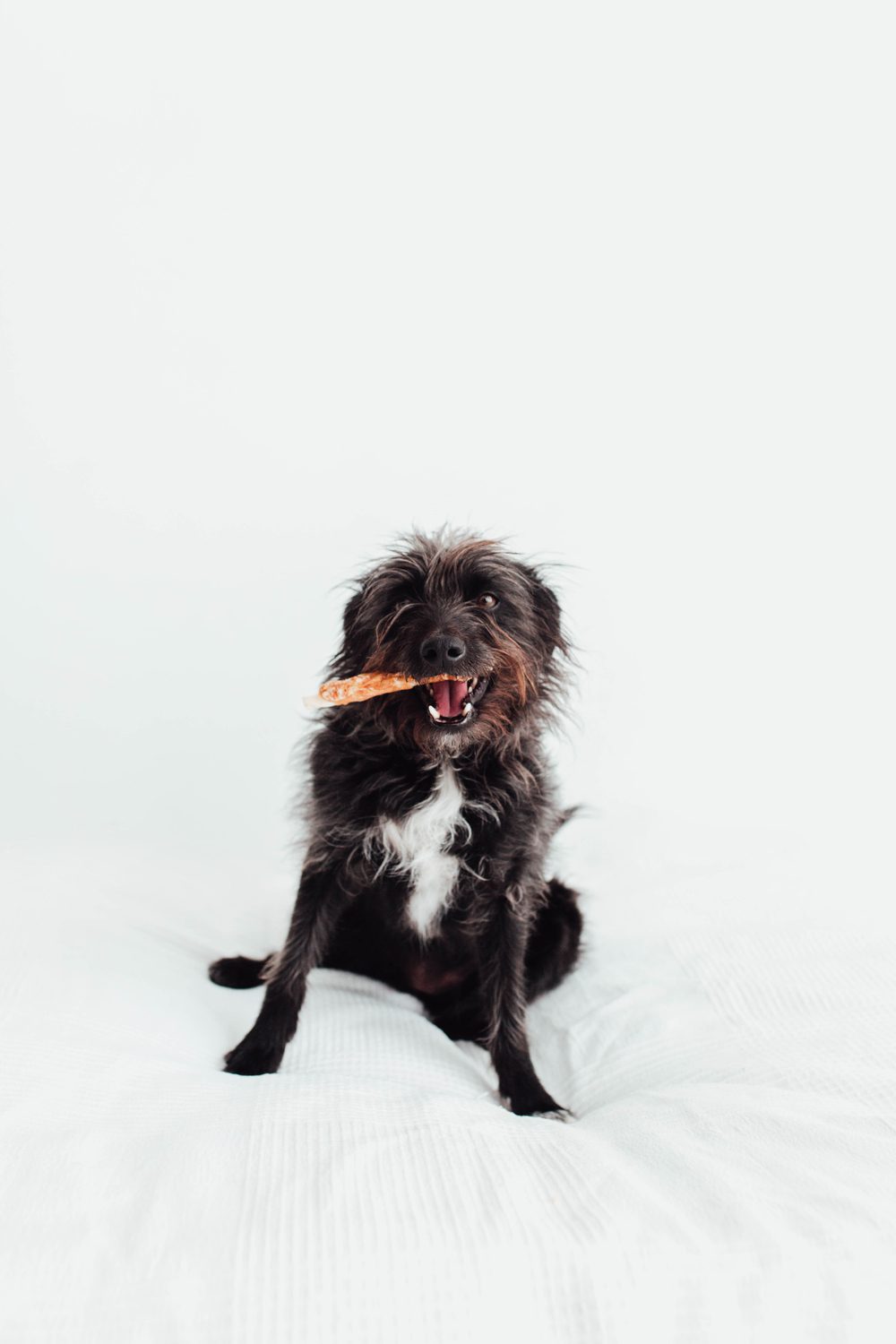 Sticks de Pollo  (5uds.)