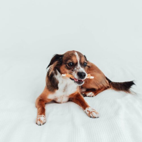 Sticks de Pollo  (5uds.)