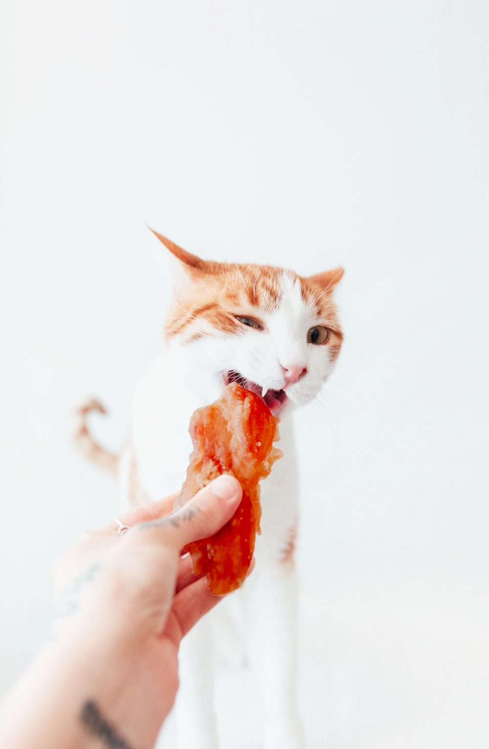 Filetes naturales de Pato (100g)